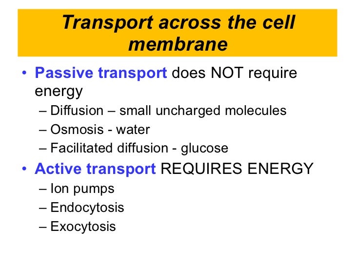 2 4 cell membrane and transport passive transport and active transport venn diagram