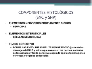 COMPONENTES HISTOLÓGICOS
(SNC y SNP)
• ELEMENTOS NERVIOSOS PROPIAMENTE DICHOS
– NEURONAS
• ELEMENTOS INTERSTICIALES
– CÉLULAS NEURÓGLICAS
• TEJIDO CONECTIVO
– FORMA LAS ENVOLTURAS DEL TEJIDO NERVIOSO (parte de las
meninges del SNC y vainas que envuelven los nervios, cápsulas
de los ganglios y tejido conectivo asociado con las terminaciones
nerviosas y órganos sensoriales)
 
