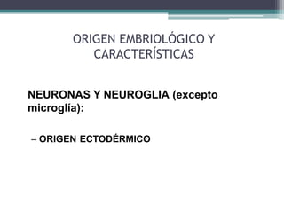 ORIGEN EMBRIOLÓGICO Y
CARACTERÍSTICAS
NEURONAS Y NEUROGLIA (excepto
microglía):
– ORIGEN ECTODÉRMICO
 