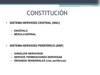 CONSTITUCIÓN
• SISTEMA NERVIOSO CENTRAL (SNC)
– ENCÉFALO
– MÉDULA ESPINAL
• SISTEMA NERVIOSO PERIFÉRICO (SNP)
– GANGLIOS NERVIOSOS
– NERVIOS TERMINACIONES NERVIOSAS
– ÓRGANOS SENSORIALES (vías periféricas)
 