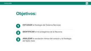 24 Clase 4-FISIOLOGIA DEL SISTEMA NERVIOSO | PDF