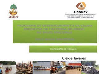PROGRAMA DE DESENVOLVIMENTO DA CADEIA
   PRODUTIVA DA CASTANHA-DO-BRASIL
         NO BAIXO AMAZONAS

        PDCC-BAIXO AMAZONAS


                COMPONENTES DO PROGRAMA




                          Cleide Tavares
 