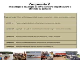 Componente V
         implantação e adaptação de infra-estrutura e logística para a
                           atividade da castanha



Área de Intervenção: Melhoria da infra-estrutura de seleção, secagem, armazenamento e logística nas comunidades extrativistas



    atividade 5.1   Planejamento logístico das áreas de colheita, transporte e armazenamento do produto;



    Atividade 5.2    Implantação e adequação dos armazéns/entrepostos (sistema de secagem e armazenamento da castanha);




    Atividade 5.3    Aquisição de meios de transporte adequados para assegurar a colheita e escoamento;



    Atividade 5.4    Aquisição de mobiliário e equipamentos para escritório das associações comunitárias ;


    Atividade 5.5    Aquisição e implementação de serviços de comunicação de dados e voz.
 