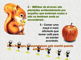 4 -  Milhões de árvores são plantadas acidentalmente por esquilos que enterram nozes e não se lembram onde as esconderam . 5 - Comer uma maçã é mais eficiente que tomar café para se manter acordado. 6- As formigas se espreguiçam pela manhã quando acordam !!! 