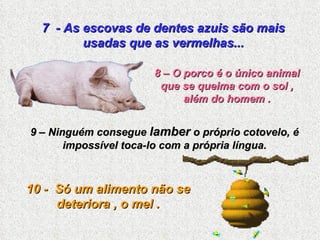 7  - As escovas de dentes azuis são mais usadas que as vermelhas... 8 – O porco é o único animal que se queima com o sol , além do homem . 9 – Ninguém consegue  lamber  o próprio cotovelo, é impossível toca-lo com a própria língua. 10 -  Só um alimento não se deteriora , o mel . 