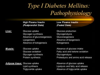 Type I Diabetes Mellitus:  Pathophysiology 