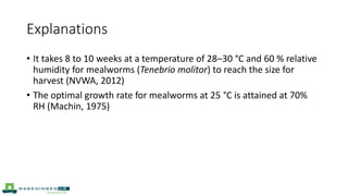 Explanations
• It takes 8 to 10 weeks at a temperature of 28–30 °C and 60 % relative
humidity for mealworms (Tenebrio molitor) to reach the size for
harvest (NVWA, 2012)
• The optimal growth rate for mealworms at 25 °C is attained at 70%
RH (Machin, 1975)
 