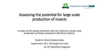 Assessing the potential for large scale
production of insects
A study on the quality attributes that can influence a large scale
production of Yellow mealworm (Tenebrio molitor).
Student: Maria Giakoumelou
Supervisors: dr.ir. JJA (Joop) van Loon
dr. JLF (Geoffrey) Hagelaar
 