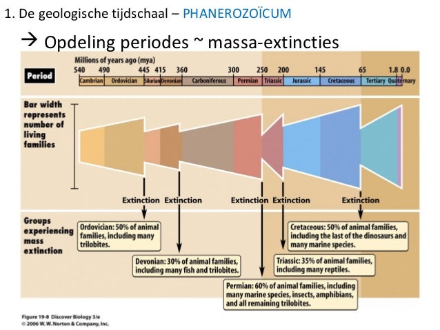 24 de geologische tijdschaal