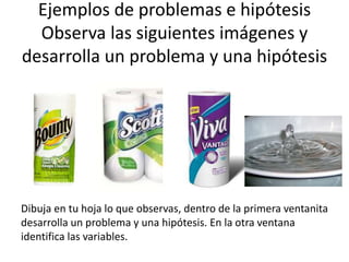 Ejemplos de problemas e hipótesis
Observa las siguientes imágenes y
desarrolla un problema y una hipótesis
Dibuja en tu hoja lo que observas, dentro de la primera ventanita
desarrolla un problema y una hipótesis. En la otra ventana
identifica las variables.
 