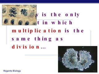 Biology is the only subject in which  multiplication  is the same thing as  division … 2006-2007 