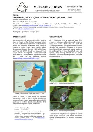 METAMORPHOSIS
LEPIDOPTERISTS’ SOCIETY OF AFRICA
Volume 25: 149–151
ISSN 1018–6490 (PRINT)
ISSN 2307–5031 (ONLINE)
NOTE
A new locality for Euchrysops osiris (Hopffer, 1855) in Sohar, Oman
Published online: 9 December 2014
Otto, Herbert H.H.1
& Larsen, Torben B.2
1
Unit of Environmental Sciences and Management, North-West University, P. Bag. X6001, Potchefstroom, 2520, South
Africa. E-mail: herbertotto@hotmail.com or 24765627@nwu.ac.za
2
Jacobys alle 2, DK 1806 Frederiksberg, Denmark. Research Associate, Natural History Museum, London.
E-mail: torbenlarsen@btinternet.com
Copyright © Lepidopterists’ Society of Africa
INTRODUCTION
Euchrysops osiris is widespread in Africa but it is
rarer in Oman on the Arabian Peninsula, where
E. osiris has been recorded from the southern Omani
forests and grasslands of Dhofar (Larsen, 1980); at
Aqabat al Hatab, Zeak Camp, Sarfait, above
Rakhyut and Khadrafi (Larsen, 1983); while Polak
and Verovnik (2009) found two males at Tawi
Atayr, Salalah. In this paper E. osiris is recorded
from Sohar in northern Oman approximately 859
km NNE of the previous records
(www.distancecalculator.globefeed.com).
Figure 1 – Localities for Euchrysops osiris in Oman
Since E. osiris is very similar to Chilades
parhassius, which is known to be abundant in
northern Oman, Larsen requested specimens to be
collected to confirm identification, but the first
specimens sent proved to be C. parhassius.
OBSERVATIONS
On 7 November 2014 a neglected bean field,
overgrown with grass and next to a wadi (stream or
river) was visited. Such sites are ideal for
Euchrysops species (Otto – personal observations).
A small but flourishing population of E. osiris
butterflies with two characteristic orange lunules on
the hindwing (Figs 2–4) was found, both males and
females, many freshly hatched and in perfect
condition. The female hindwings varied from dark
to light (Figs 2 & 3).
Figure 2 – ♀ E. osiris with darker hindwing
Figure 3 – ♀ E. osiris with lighter hindwing
The males were fairly typical of Nigerian dry season
forms (Figs 5–7) with wet season individuals
usually somewhat darker, yet retaining the pinkish
sheen.
Received: 25 November 2014
Accepted: 9 December 2014
Copyright: This work is licensed under the Creative
Commons Attribution-NonCommercial-NoDerivs 3.0
Unported License. To view a copy of this license, send a
letter to Creative Commons, Second Street, Suite 300, San
Francisco, California, 94105, USA, or visit: http://creative
commons.org/licenses/by-nc-nd/3.0/
 