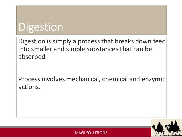 Animal Nutrition Introduction