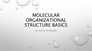 MOLECULAR
ORGANIZATIONAL
STRUCTURE BASICS
BY DAVID SCHREIBER
 
