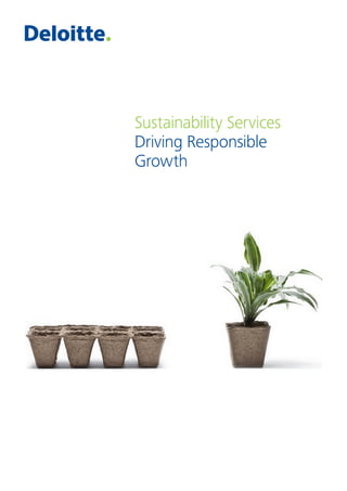Sustainability Services
Driving Responsible
Growth
 