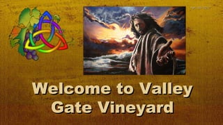 April 8th 2012




Welcome to Valley
 Gate Vineyard
 