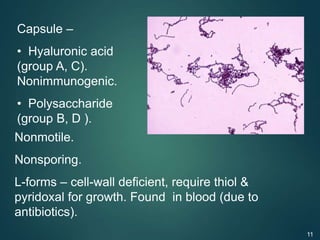Capsule –
• Hyaluronic acid
(group A, C).
Nonimmunogenic.
• Polysaccharide
(group B, D ).
Nonmotile.
Nonsporing.
L-forms – cell-wall deficient, require thiol &
pyridoxal for growth. Found in blood (due to
antibiotics).
11
 