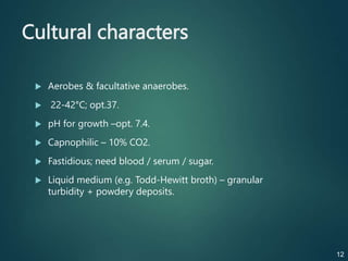 Cultural characters
 Aerobes & facultative anaerobes.
 22-42°C; opt.37.
 pH for growth –opt. 7.4.
 Capnophilic – 10% CO2.
 Fastidious; need blood / serum / sugar.
 Liquid medium (e.g. Todd-Hewitt broth) – granular
turbidity + powdery deposits.
12
 