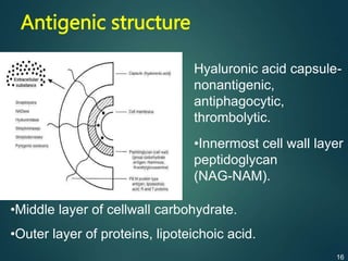 Antigenic structure
Hyaluronic acid capsule-
nonantigenic,
antiphagocytic,
thrombolytic.
•Innermost cell wall layer
peptidoglycan
(NAG-NAM).
•Middle layer of cellwall carbohydrate.
•Outer layer of proteins, lipoteichoic acid.
16
 
