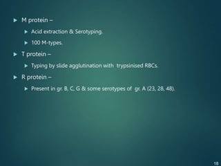  M protein –
 Acid extraction & Serotyping.
 100 M-types.
 T protein –
 Typing by slide agglutination with trypsinised RBCs.
 R protein –
 Present in gr. B, C, G & some serotypes of gr. A (23, 28, 48).
18
 