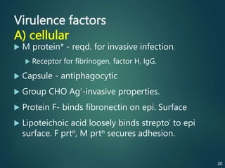 Virulence factors
A) cellular
 M protein* - reqd. for invasive infection.
 Receptor for fibrinogen, factor H, IgG.
 Capsule - antiphagocytic
 Group CHO Ag’-invasive properties.
 Protein F- binds fibronectin on epi. Surface
 Lipoteichoic acid loosely binds strepto’ to epi
surface. F prtn, M prtn secures adhesion.
20
 
