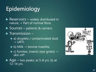 Epidemiology
 Reservoirs – widely distributed in
nature. + Part of normal flora.
 Sources – patients & carriers.
 Transmission –
 a) droplets / contaminated dust
→ URTI;
 b) Milk → bovine mastitis;
 c) fomites, insects (eye gnats) →
skin infn.
 Age – two peaks; a) 5-8 yrs. b) at
12-14 yrs.
25
 