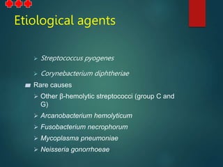 Etiological agents
 Streptococcus pyogenes
 Corynebacterium diphtheriae
▰ Rare causes
 Other β-hemolytic streptococci (group C and
G)
 Arcanobacterium hemolyticum
 Fusobacterium necrophorum
 Mycoplasma pneumoniae
 Neisseria gonorrhoeae.
 