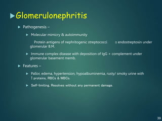 Glomerulonephritis
 Pathogenesis –
 Molecular mimicry & autoimmunity
Protein antigens of nephritogenic streptococci  endostreptosin under
glomerular B.M.
 Immune complex disease with deposition of IgG + complement under
glomerular basement memb.
 Features –
 Pallor, edema, hypertension, hypoalbuminemia, rusty/ smoky urine with
↑proteins, RBCs & WBCs.
 Self-limiting. Resolves without any permanent damage.
39
 