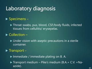 Laboratory diagnosis
 Specimens –
 Throat swabs, pus, blood, CSF/body fluids, infected
tissues from cellulitis/ erysepelas.
 Collection –
 Under vision with aseptic precautions in a sterile
container.
 Transport –
 Immediate / immediate plating on B. A.
 Transport medium – Pike’s medium (B.A.+ C.V. +Na-
azide).
43
 