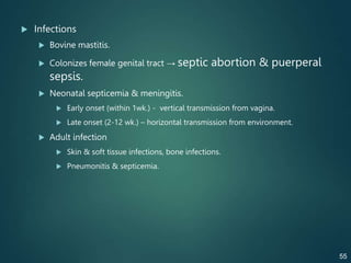  Infections
 Bovine mastitis.
 Colonizes female genital tract → septic abortion & puerperal
sepsis.
 Neonatal septicemia & meningitis.
 Early onset (within 1wk.) - vertical transmission from vagina.
 Late onset (2-12 wk.) – horizontal transmission from environment.
 Adult infection
 Skin & soft tissue infections, bone infections.
 Pneumonitis & septicemia.
55
 