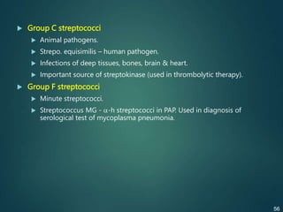  Group C streptococci
 Animal pathogens.
 Strepo. equisimilis – human pathogen.
 Infections of deep tissues, bones, brain & heart.
 Important source of streptokinase (used in thrombolytic therapy).
 Group F streptococci
 Minute streptococci.
 Streptococcus MG - -h streptococci in PAP. Used in diagnosis of
serological test of mycoplasma pneumonia.
56
 