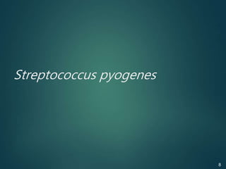 Streptococcus pyogenes
8
 