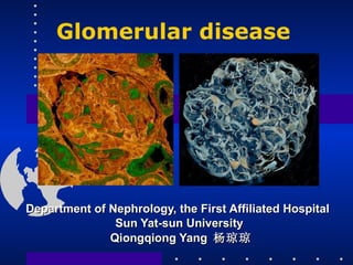 Department of Nephrology, the First Affiliated Hospital  Sun Yat-sun University  Qiongqiong Yang  杨琼琼 Glomerular disease 