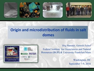 1
Origin and microdistribution of fluids in salt
domes
Jörg Hammer, Gernold Zulauf
Federal Institute for Geosciences and Natural
Resources (BGR) & University Frankfurt/Main
Washington, DC
September 7-9, 2016
 