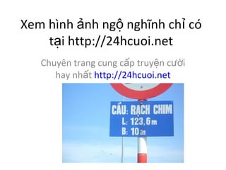 Xem hnh ?nh ng? ngh?nh ch? c t?i http://24hcuoi.net Chuyn trang cung c?p truy?n c??i hay nh?t  http://24hcuoi.net 