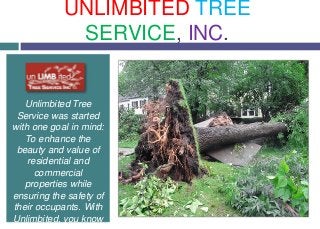 Unlimbited Tree
Service was started
with one goal in mind:
To enhance the
beauty and value of
residential and
commercial
properties while
ensuring the safety of
their occupants. With
Unlimbited, you know
UNLIMBITED TREE
SERVICE, INC.
 
