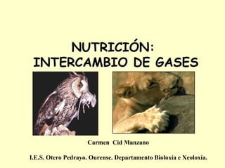 NUTRICINUTRICIÓÓN:N:
INTERCAMBIO DE GASESINTERCAMBIO DE GASES
Carmen Cid Manzano
I.E.S. Otero Pedrayo. Ourense. Departamento Bioloxía e Xeoloxía.
 