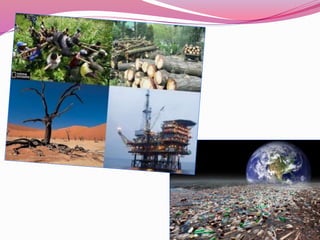 2°4 investigación y evaluación de problemas ambientales 2014