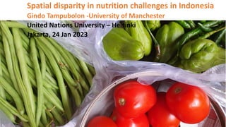 Spatial disparity in nutrition challenges in Indonesia
Gindo Tampubolon -University of Manchester
United Nations University – Helsinki
Jakarta, 24 Jan 2023
 
