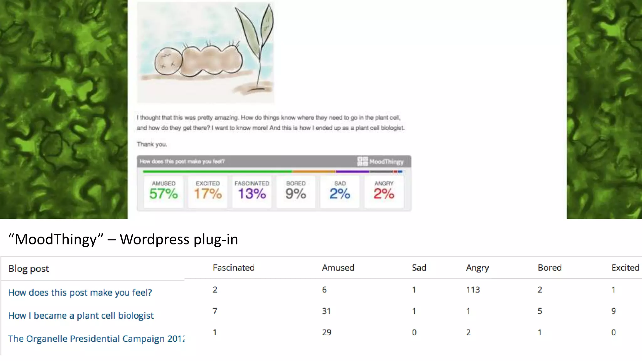 “MoodThingy” – Wordpress plug-in
 