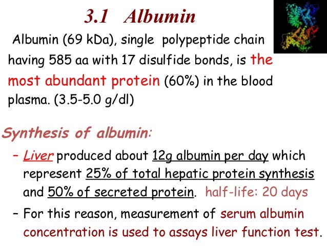 functions 5-2 of composition plasma protein of & plasma lec 24 composition functions 5-2 of composition plasma protein of & plasma lec 24 composition