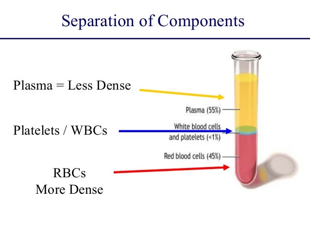 24 Lec Composition Of Plasma Plasma Protein