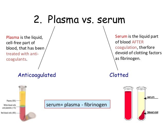 24 Lec Composition Of Plasma Plasma Protein