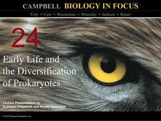 CAMPBELL BIOLOGY IN FOCUS
© 2014 Pearson Education, Inc.
Urry • Cain • Wasserman • Minorsky • Jackson • Reece
Lecture Presentations by
Kathleen Fitzpatrick and Nicole Tunbridge
24
Early Life and
the Diversification
of Prokaryotes
 