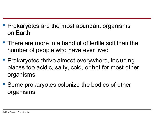 Biology In Focus Chapter 24