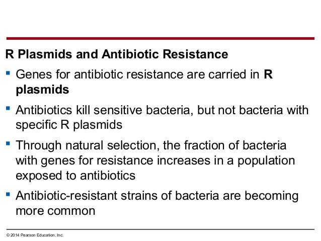 Antibiotic Resistance Due To Natural Selection Antibiotic Resistance Due To Natural Selection