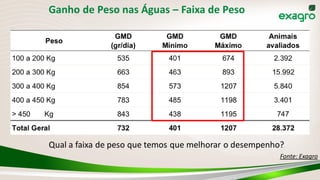 Ganho de Peso nas Águas – Faixa de Peso
Qual a faixa de peso que temos que melhorar o desempenho?
Fonte: Exagro
 
