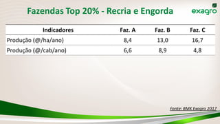 Fazendas Top 20% - Recria e Engorda
Fonte: BMK Exagro 2017
 