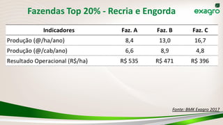 Fazendas Top 20% - Recria e Engorda
Fonte: BMK Exagro 2017
 