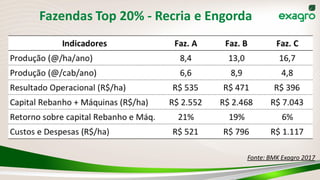 Fazendas Top 20% - Recria e Engorda
Fonte: BMK Exagro 2017
 